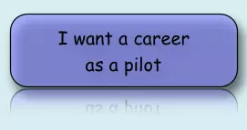 professional pilot